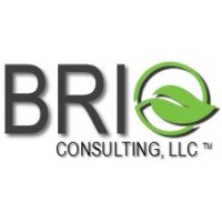 Brio Consulting, LLC logo - Similar company to Brio Consulting