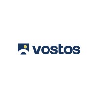 Vostos Consulting logo - Similar company to Vinix Code