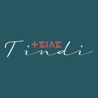 TINDI Agency logo - Similar company to Design Studio Pub