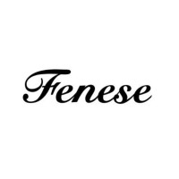 Fenese Kalıp logo - Similar company to Galvoplas