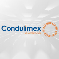 Condulimex logo - Similar company to Luisa Conectando