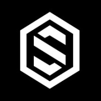 Scale Your Marketing logo - Similar company to Andes Insight