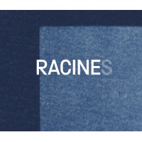 RACINE STRUCTURE logo - Similar company to Dr
