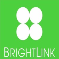 BrightLink Cargo and Movers LLC logo - Similar company to Landmark Logistics