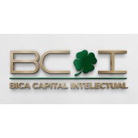 BCI - Bica Capital Intelectual logo - Similar company to Boomatech Graphene Technology