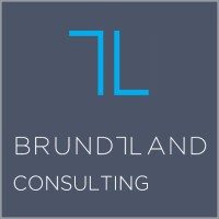 Brundtland Consulting logo - Similar company to Alterum