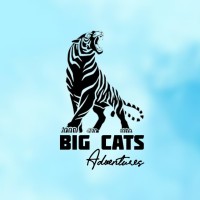 Big Cats Adventures logo - Similar company to A2B Rides.Com