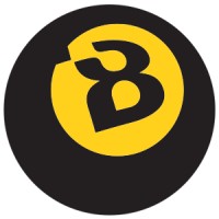 Blackcomb.cz logo - Similar company to Yate Spol. S R.O.