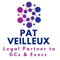 Pat Veilleux Legal Velocity logo - Similar company to Tech Esq.℠