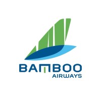 Bamboo Airways logo - Similar company to Comacpro Jsc.,