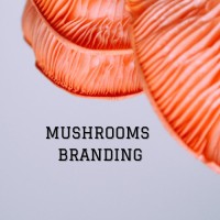 Mushrooms Branding logo - Similar company to Tmrc Impact - Narrative Acuity