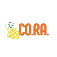 Co. Ra. S.r.l. logo - Similar company to Novello & C.