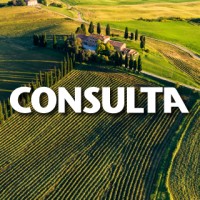 CONSULTA DMC Italy logo - Similar company to Alma Events