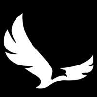 Eaglytics Co. logo - Similar company to Streamerstakes