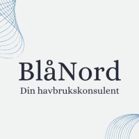 BlåNord AS logo - Similar company to Thams Innovasjon
