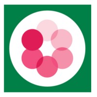 Kreis 6 English logo - Similar company to Sérgio Pantoja Elt