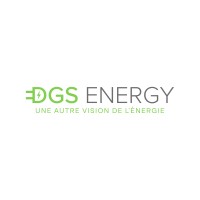 DGS Energy logo - Similar company to Teletask
