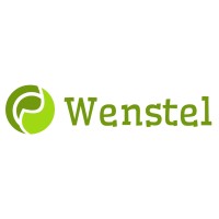 Wenstel LLC logo - Similar company to Conveyance Telecom Llc