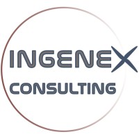 Ingenex Consulting LTD logo - Similar company to Ingenex.Co