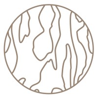 Gávcci logo - Similar company to Airel