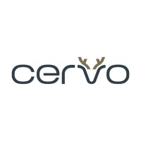 Cervo Yapı Kimyasalları logo - Similar company to Decostone Yapı Kimyasalları San. Tic. Ltd. Şti.