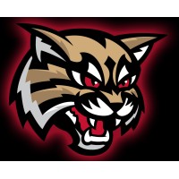 Highland Wildcats logo - Similar company to Track And Field