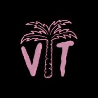 Vibestown Productions logo - Similar company to Expera Group Pty Ltd