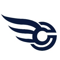Cyber Wing logo - Similar company to Dcyber.Security