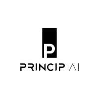 Princip AI logo - Similar company to Principai