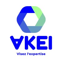 AKEI Enginerring logo - Similar company to Acoset - Conseil Et Formations Qhse