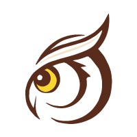 Bird's Eye Business Solutions logo - Similar company to Metrics Ai