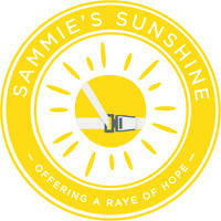 Sammie's Sunshine logo - Similar company to Ttr Shipping, Llc