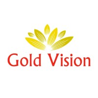 Gold Vision logo - Similar company to C.T.S. D.O.O.