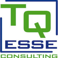 TQesse Consulting logo - Similar company to Casini Service - Training & Consulting