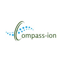 Compass-ion logo - Similar company to Onedeck Technology Pvt Ltd
