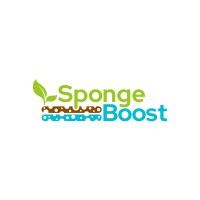 SpongeBoost Project logo - Similar company to Stroming
