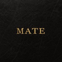 Mate logo - Similar company to Devi Concept