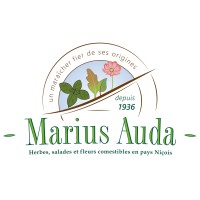Marius AUDA logo - Similar company to Fair Vision