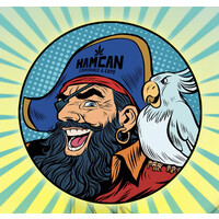 HAMCAN logo - Similar company to Infodatapark