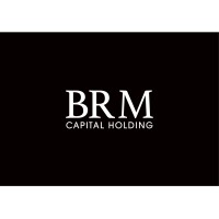 BRM CAPITAL HOLDING logo - Similar company to Brm Group