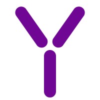 VY Consultancy Services