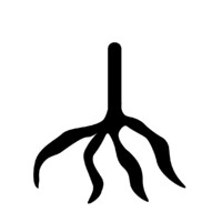 Mandioca Studio logo - Similar company to Charque Attack