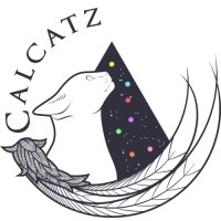 Calcatz logo - Similar company to Tictech Studio