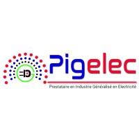 PIGELEC COTE D'IVOIRE logo - Similar company to Matrelec Ci Officiel