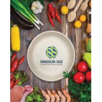Kingsun SGS logo - Similar company to The Hode Group