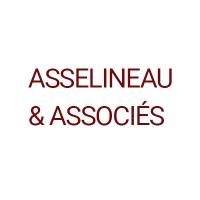 ASSELINEAU & ASSOCIES logo - Similar company to Ricard Ringuier & Associés