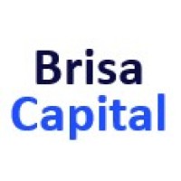 BrisaCapital logo - Similar company to Morgano Capital