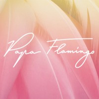 Papa Flamingo logo - Similar company to Inoky