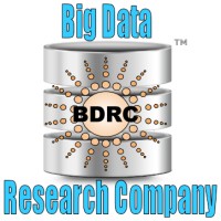 Big Data Research Company logo - Similar company to Business Research Lab