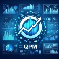 Quant Portfolio Management logo - Similar company to Qig, Llc.